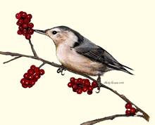 Chickadees Rest Watercolor Painting