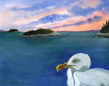 Seagull Watercolor